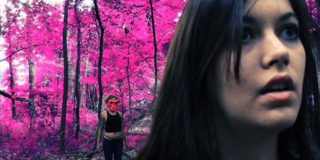 The Hornet’s Sting and the Hell It’s Caused&nbsp;(2014)