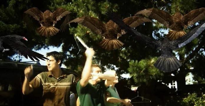 Birdemic: Shock and Terror&nbsp;(2010)