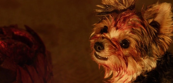 Night of the Wild&nbsp;(2015)