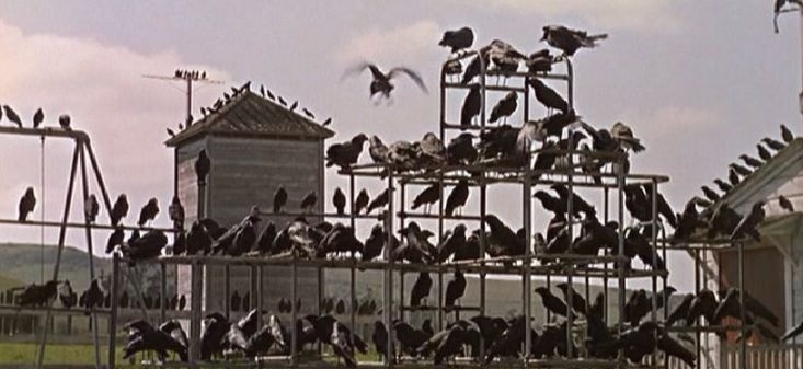 The Birds (1963)