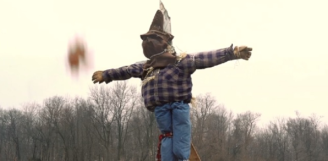 Scarecrow County (2019)