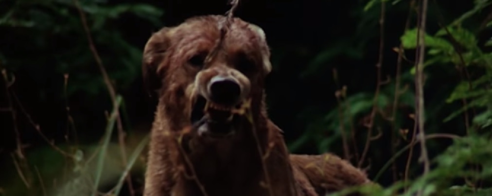 The Pack (1977) – Jiggy's Horror Corner